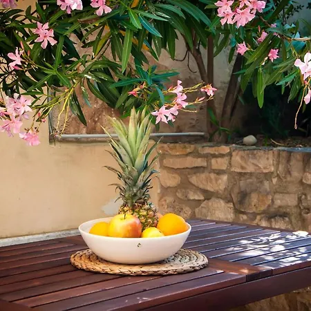 Happy House Bregovita Appartamento